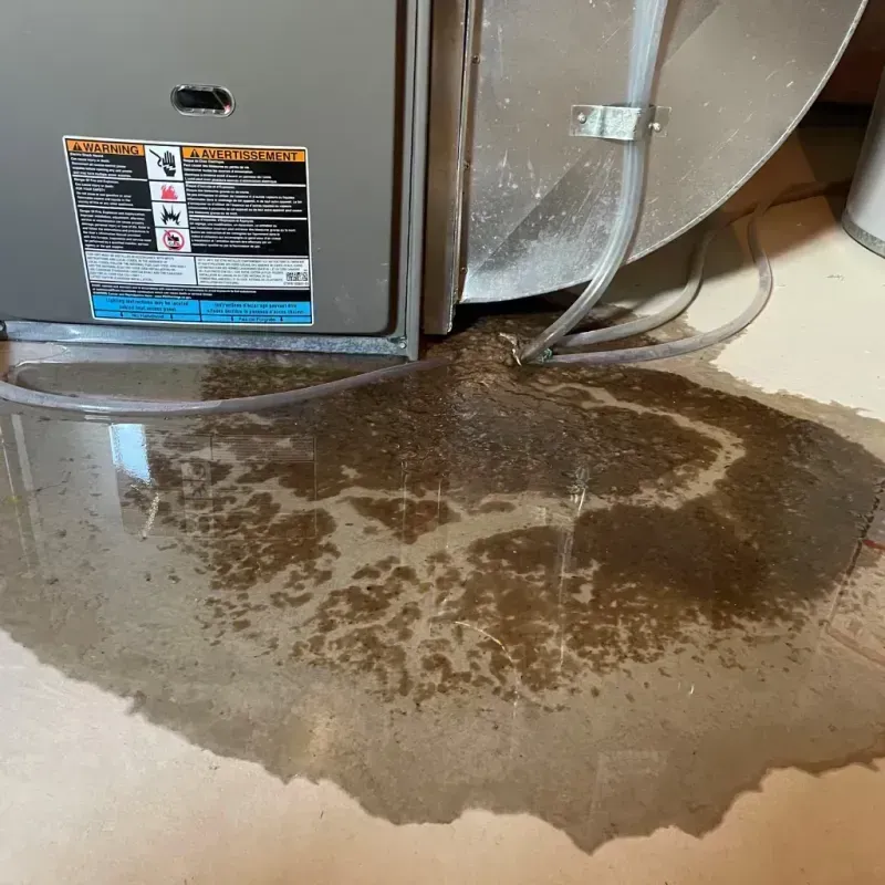 Appliance Leak Cleanup in Wolf Lake, MI